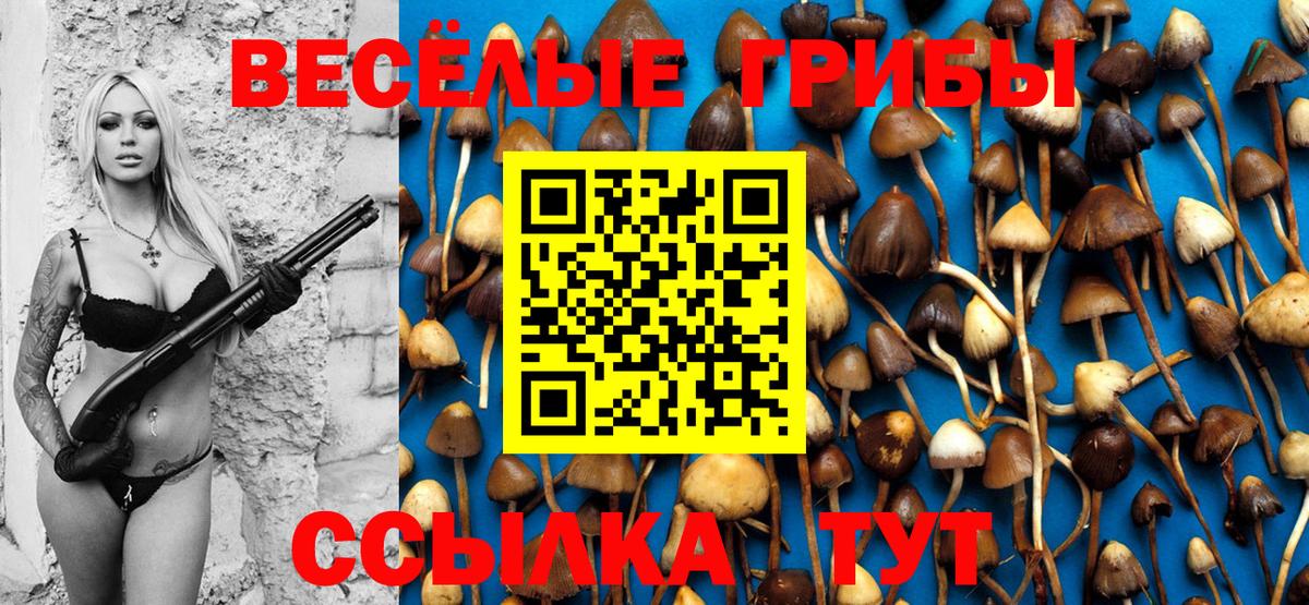 Стрежевой  Галлюциногенные грибы Magic Shrooms  Вход с VPN 